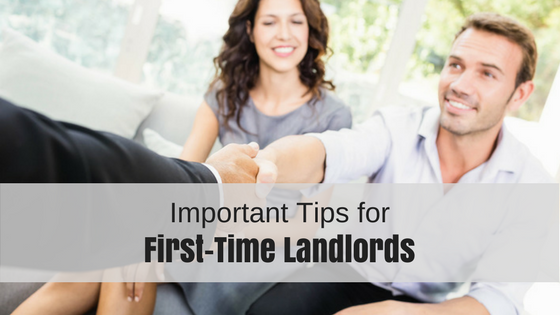 A Succinct Guide to Renting for First-Time Landlords